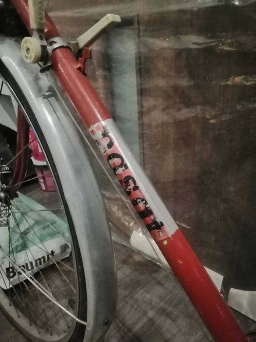 Rower Romet Pasat