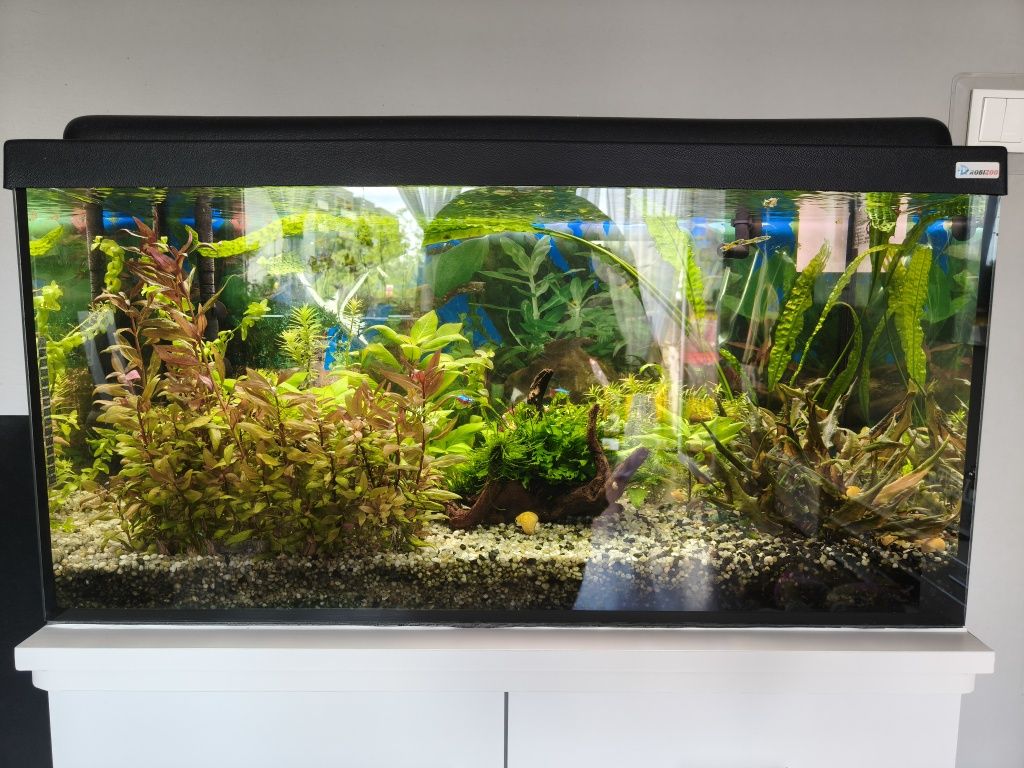 Akwarium 112l. Oświetlenie led