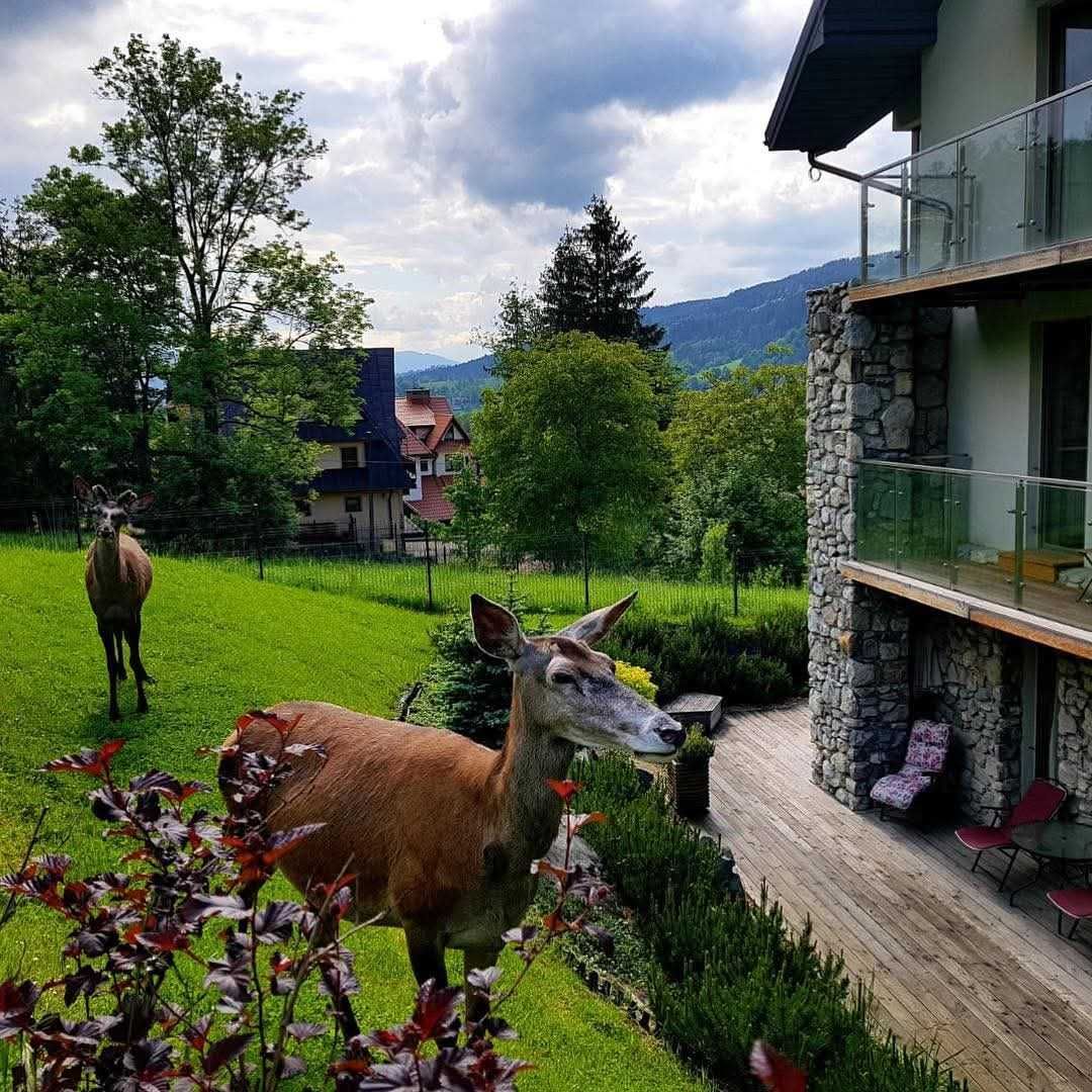 Sprzedam apartament w kompleksie Smrekowa Polana w Zakopanem.
