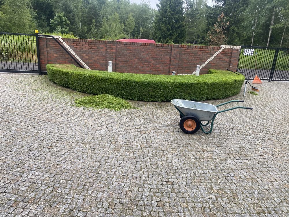 Kompleksowe uslugi ogrodnicze nawodnienie i pielęgnacja