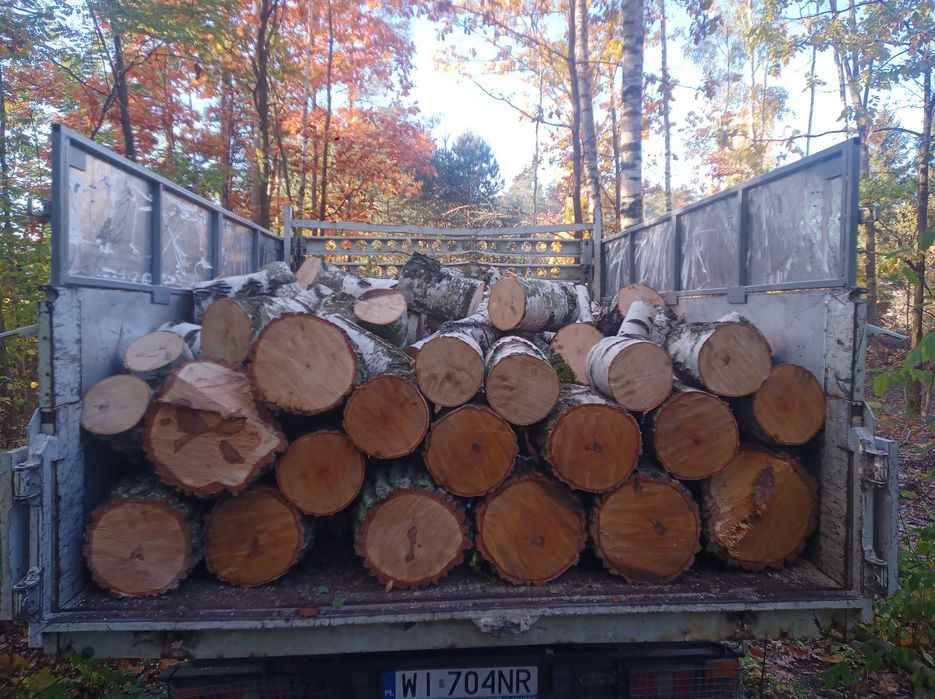 Drewno brzoza do kominka,pieca itp. okazja cenowa!