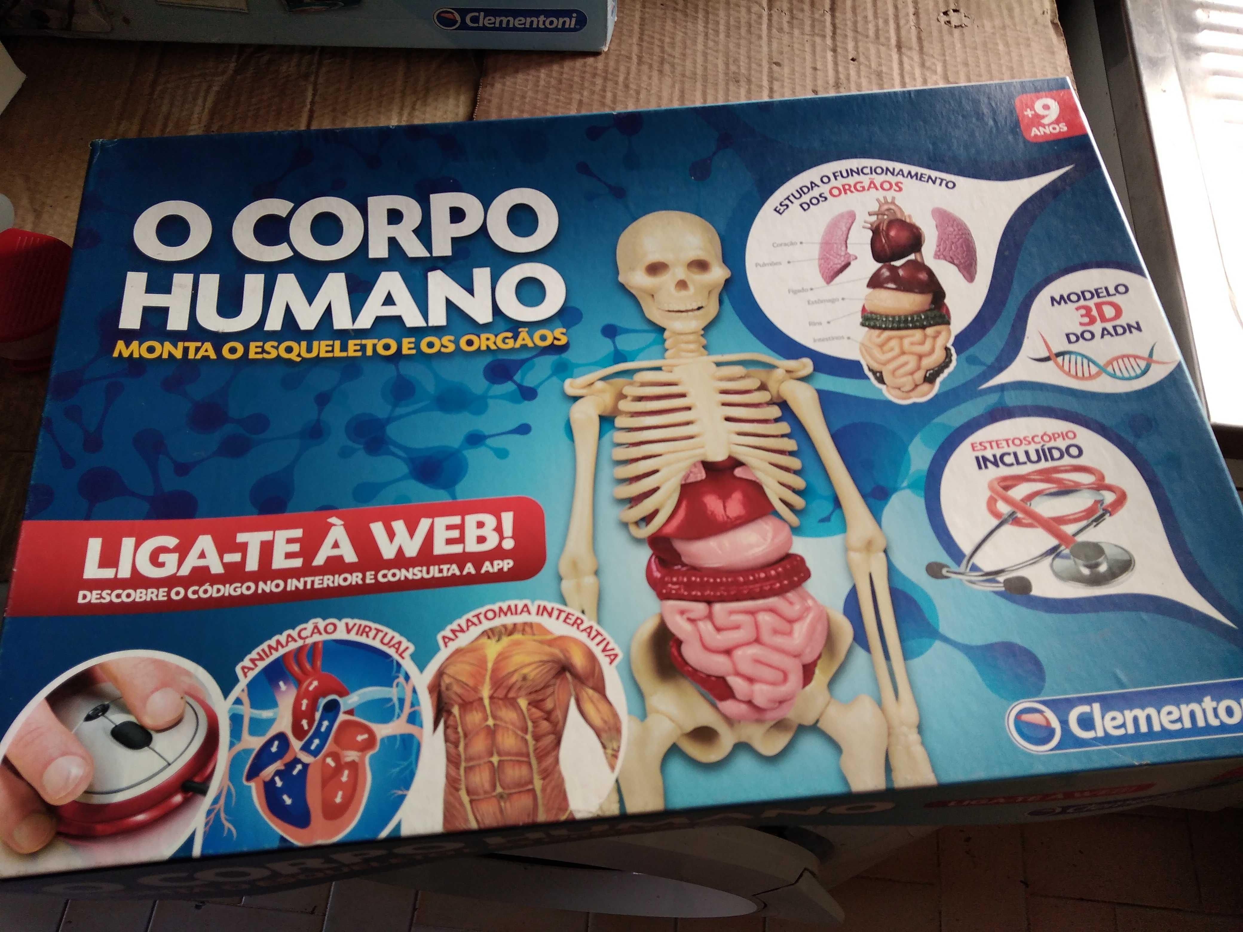 Kit Corpo Humano