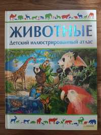 Энциклопедия животных, детский иллюстрированный атлас животные