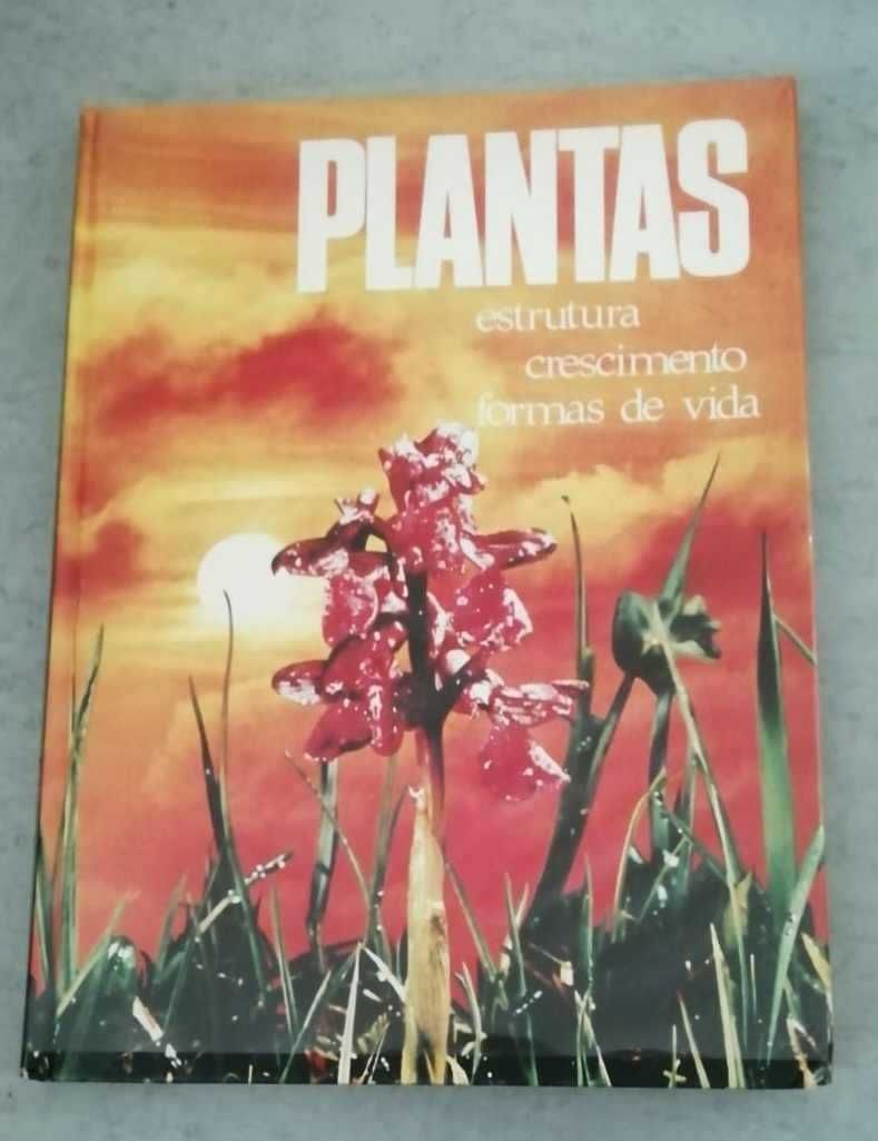 Livro VINTAGE "Plantas - Estruturas Crescimento Formas de Vida"