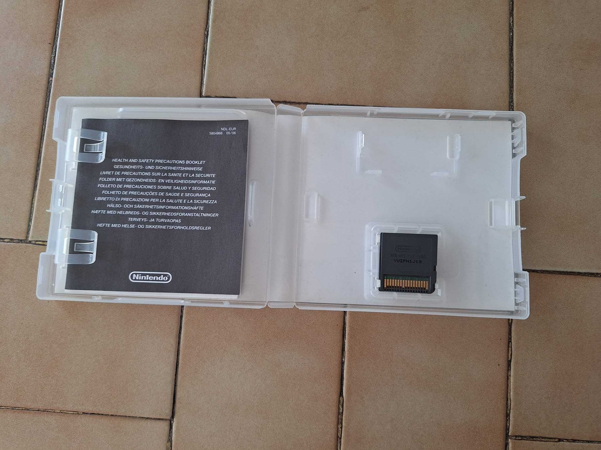 Nintendo DS - Princess on ice