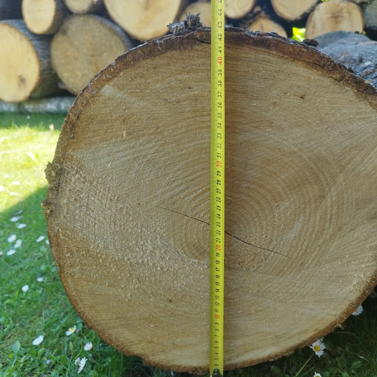 Drewno lipowe walki 1.2 m
