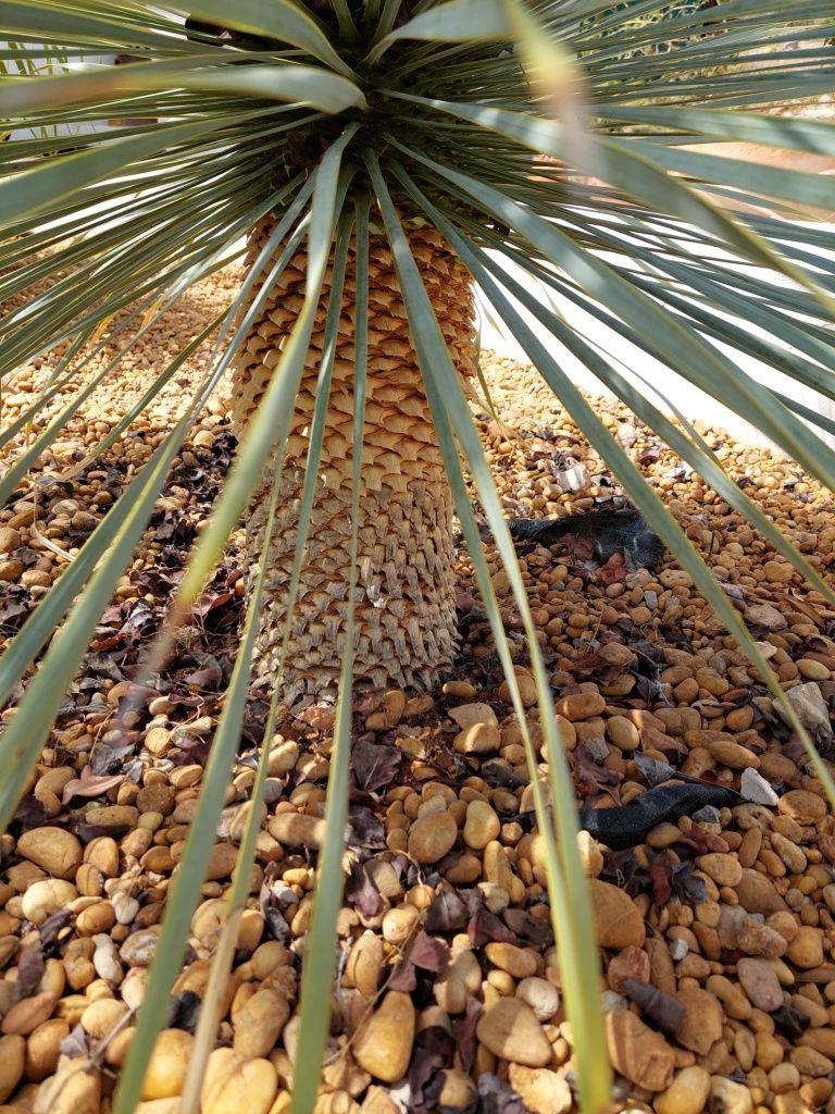 Jardins e Manutenção