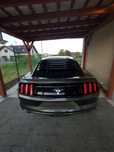 Mustang tuning żaluzja na szybę