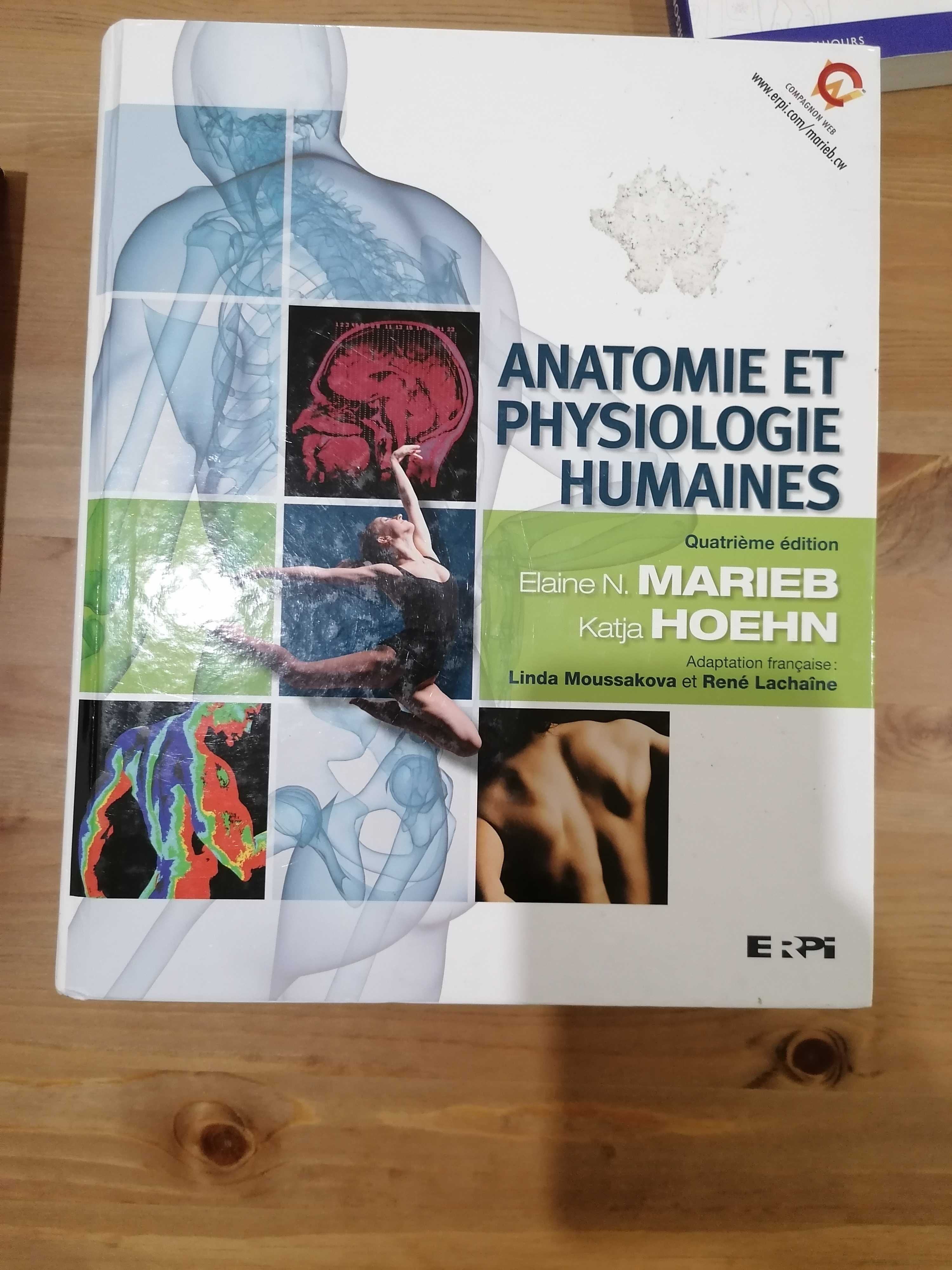 Anatomie et Physiologie Humaines