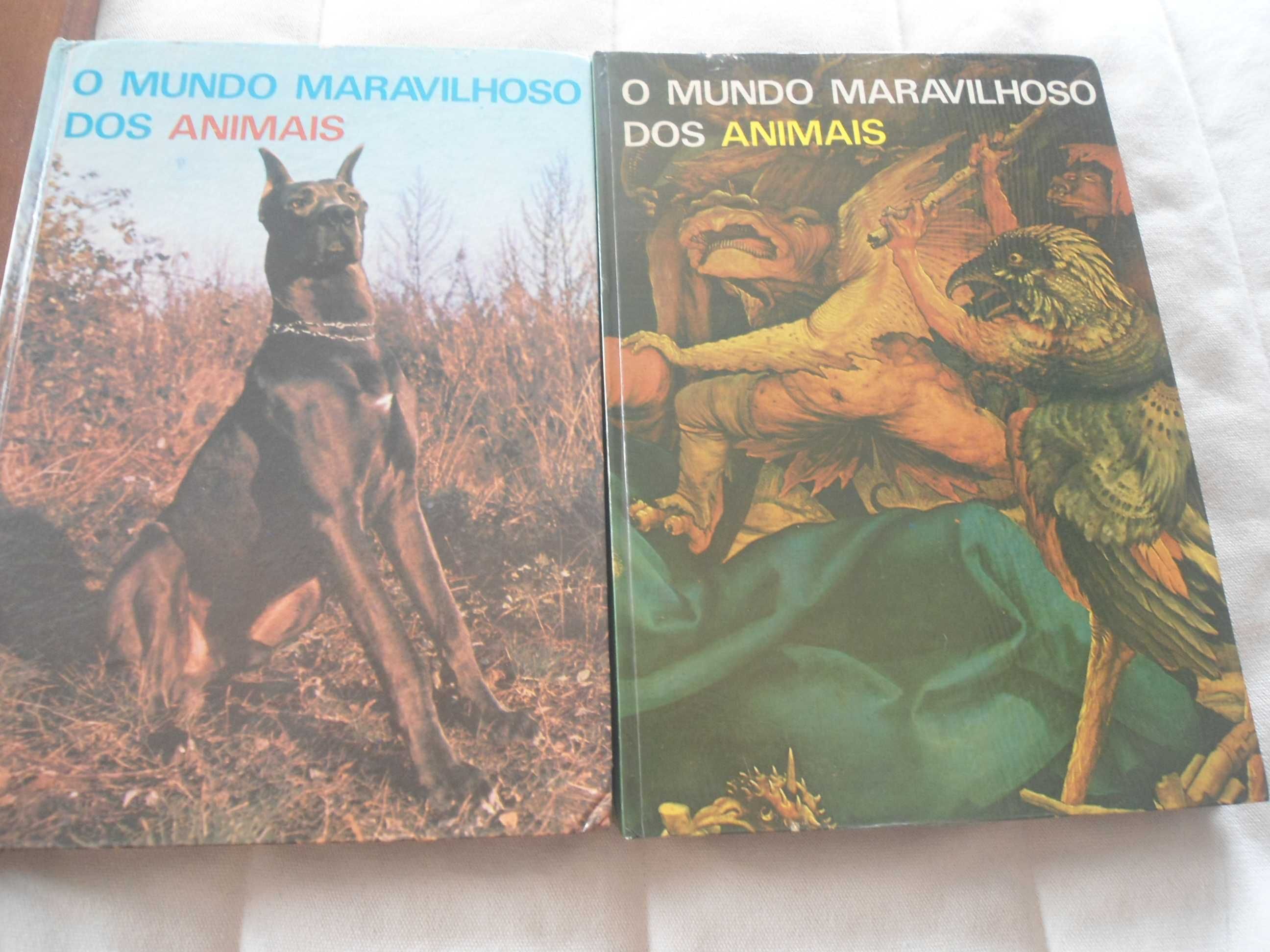 O Mundo Maravilhoso dos Animais