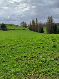 Działka z warunkami zabudowy,Mazury