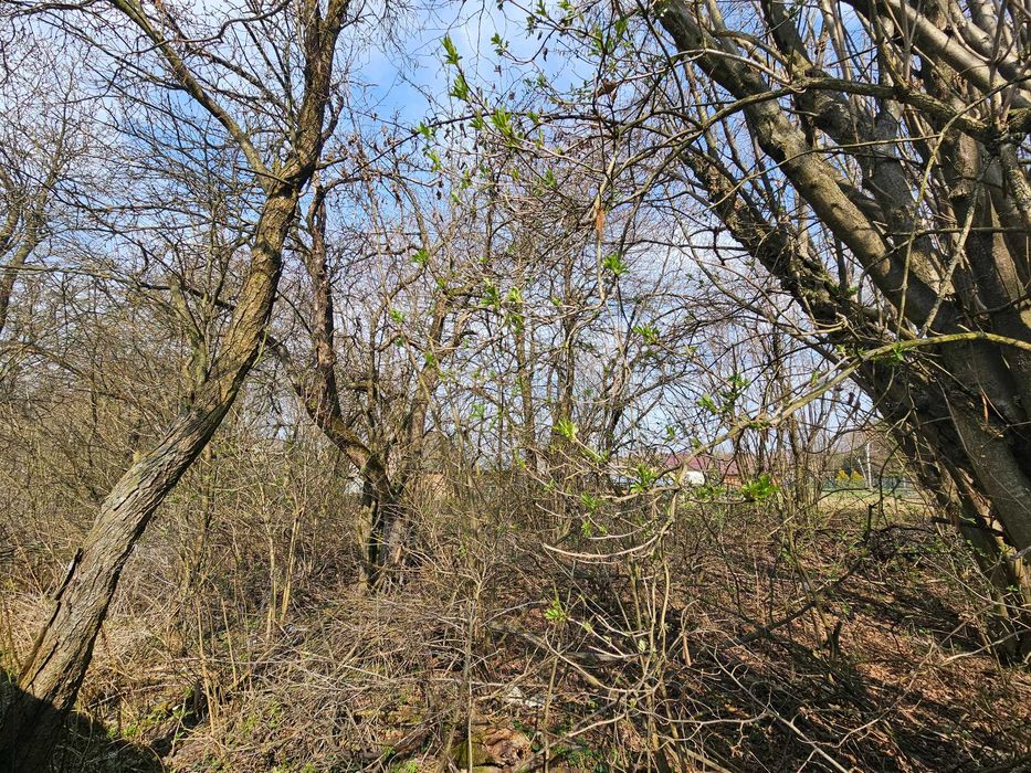 Działka 2200 m2 Mełchów k/ Lelowa