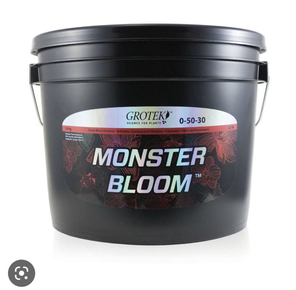 Nawis Monster bloom