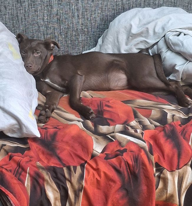 Дуня  шукає родину