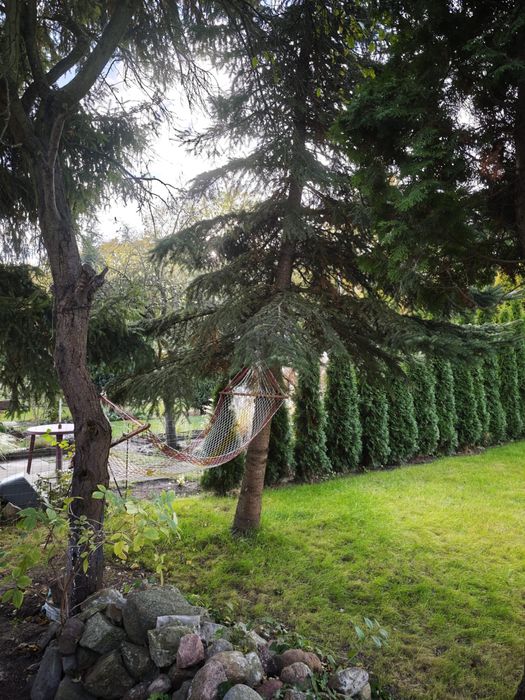 Działka ROD - Droga dębińska (Wilda) 196 m2