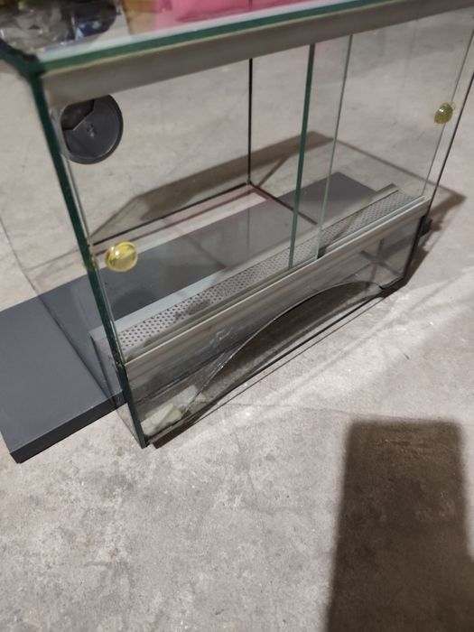 Terrarium dla pająka