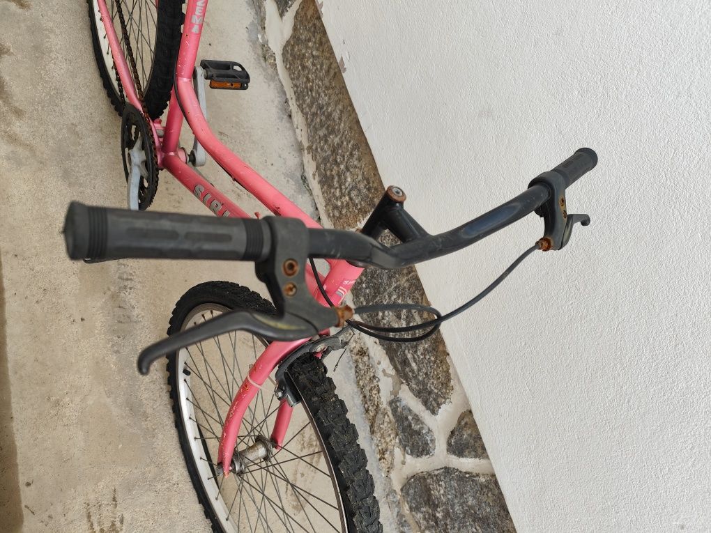 Bicicleta de adulto