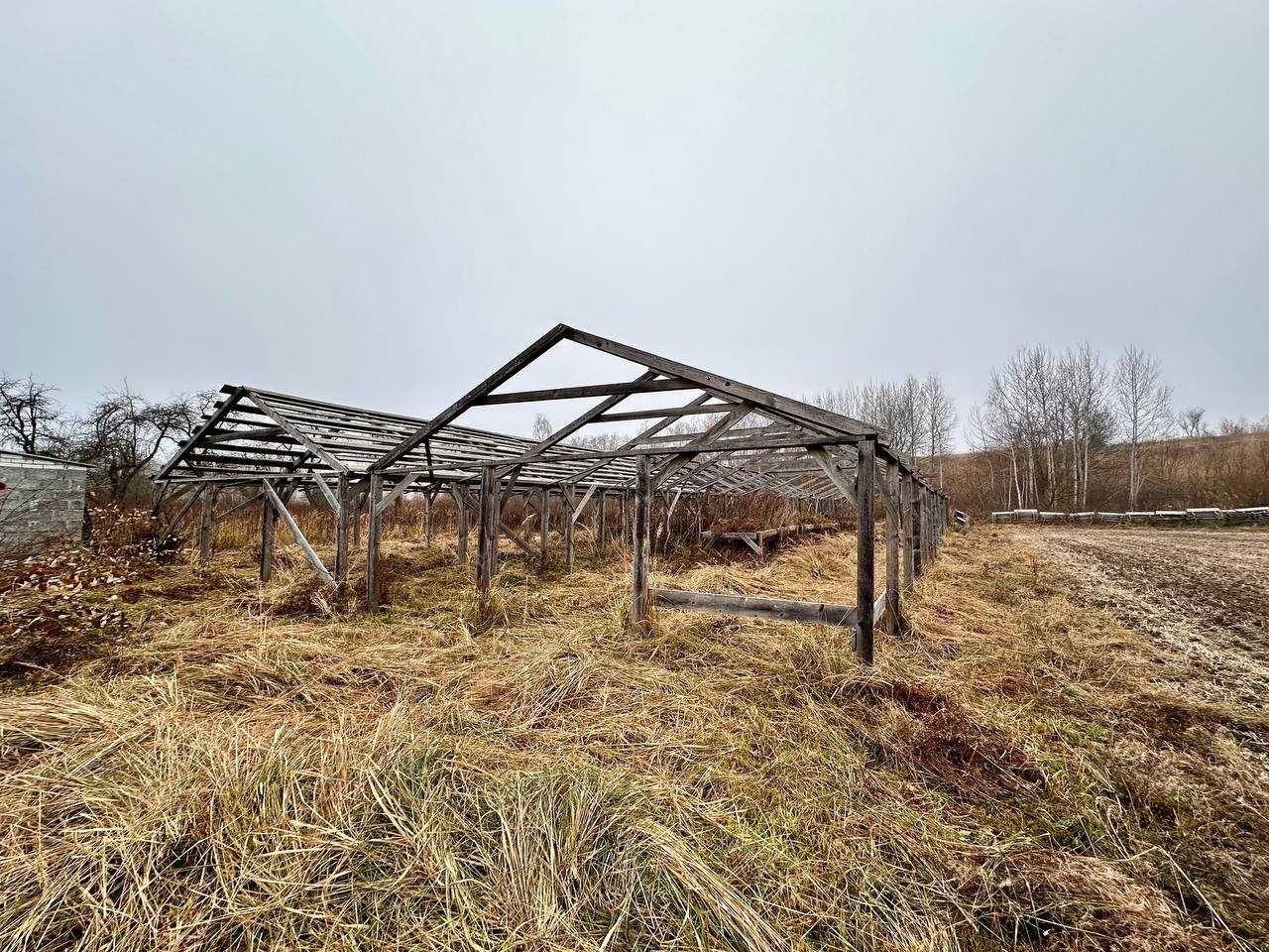 Продаж равликової ферми