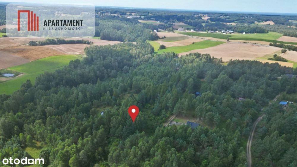 Tylko u nas! Działka blisko natury w Borku
