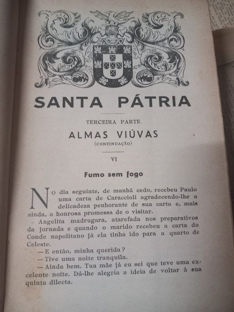 Santa pátria romance histórico