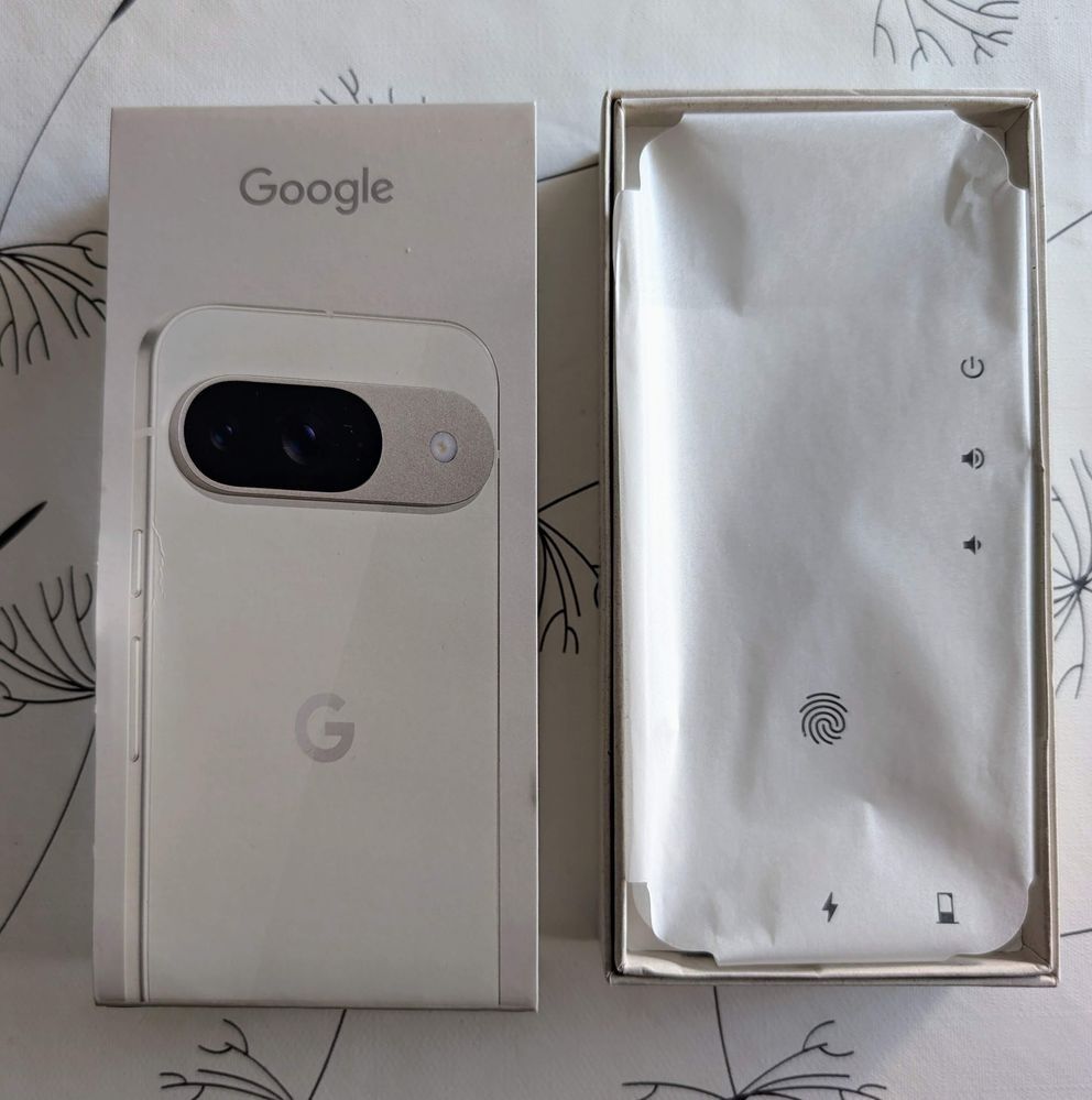 Google pixel 9 256 c/ garantia