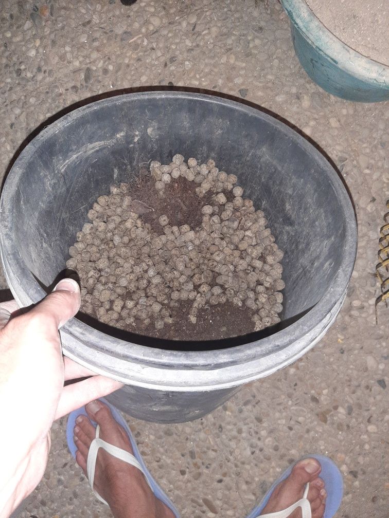 Vaso preto.......