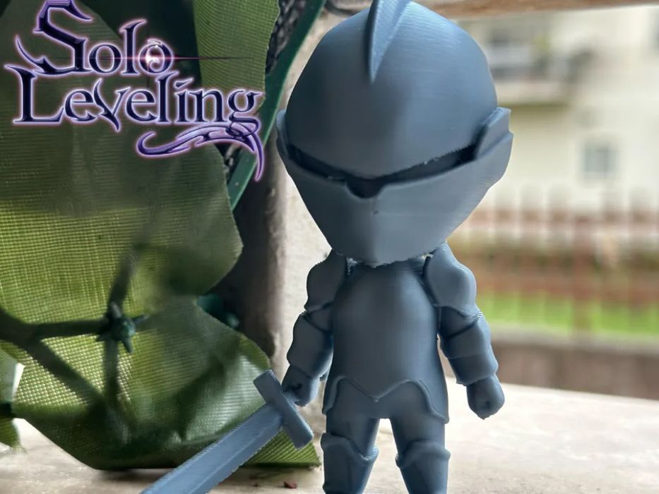 Solo Leveling - Guerreiro