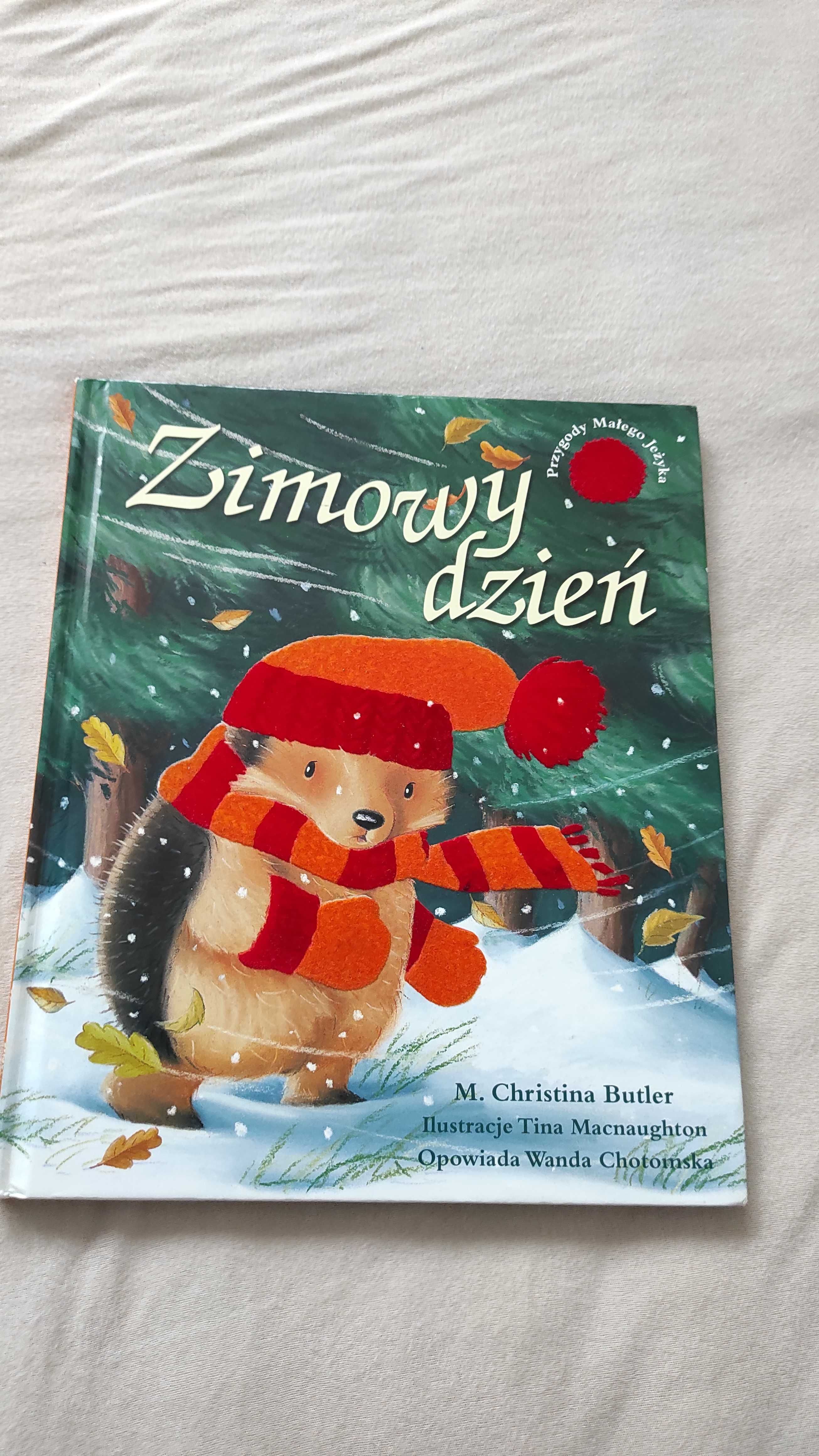 Książka Zimowy dzień Christina M. Butler, Tina Macnaughton