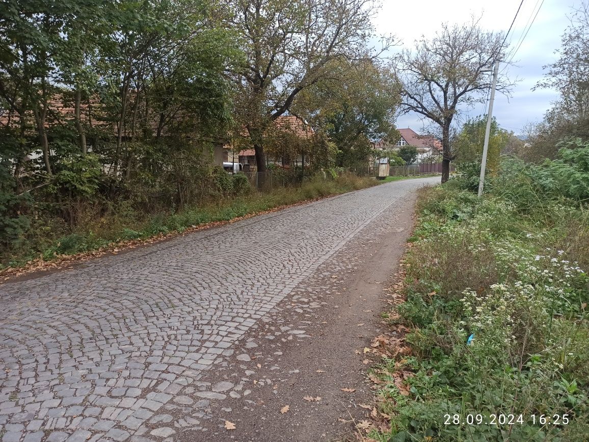 Будинок з земельною ділянкою