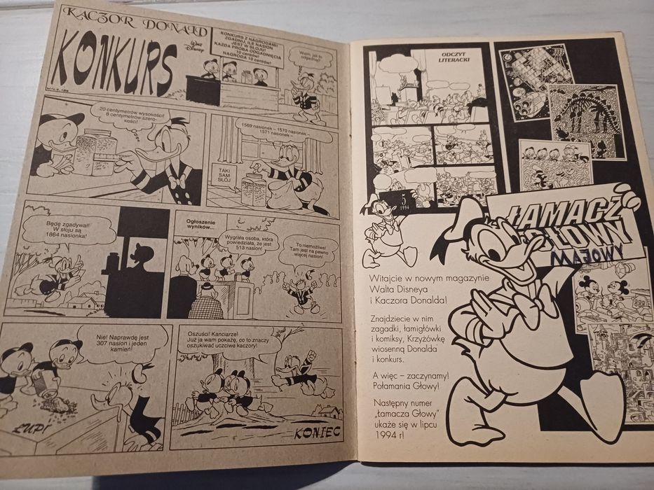 Kaczor Donald Łamacz Głowy