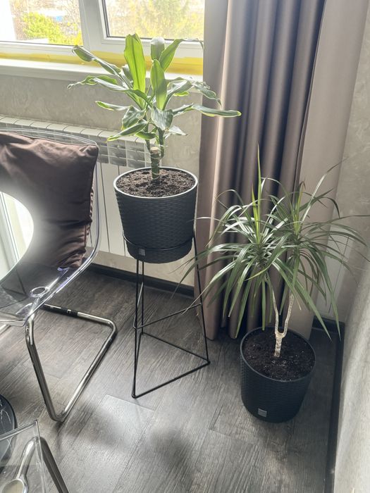 Продам вазоны для цветов