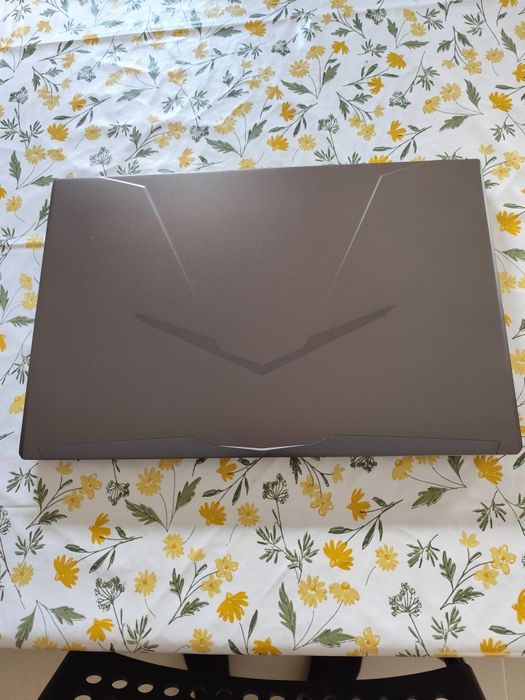 Portátil gaming Clevo