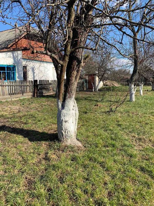 Продаю пів будинку із великою земельною  ділянкою