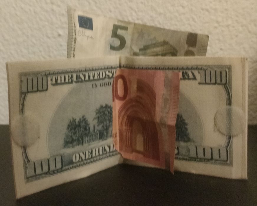 Carteira Personalizada Dólar