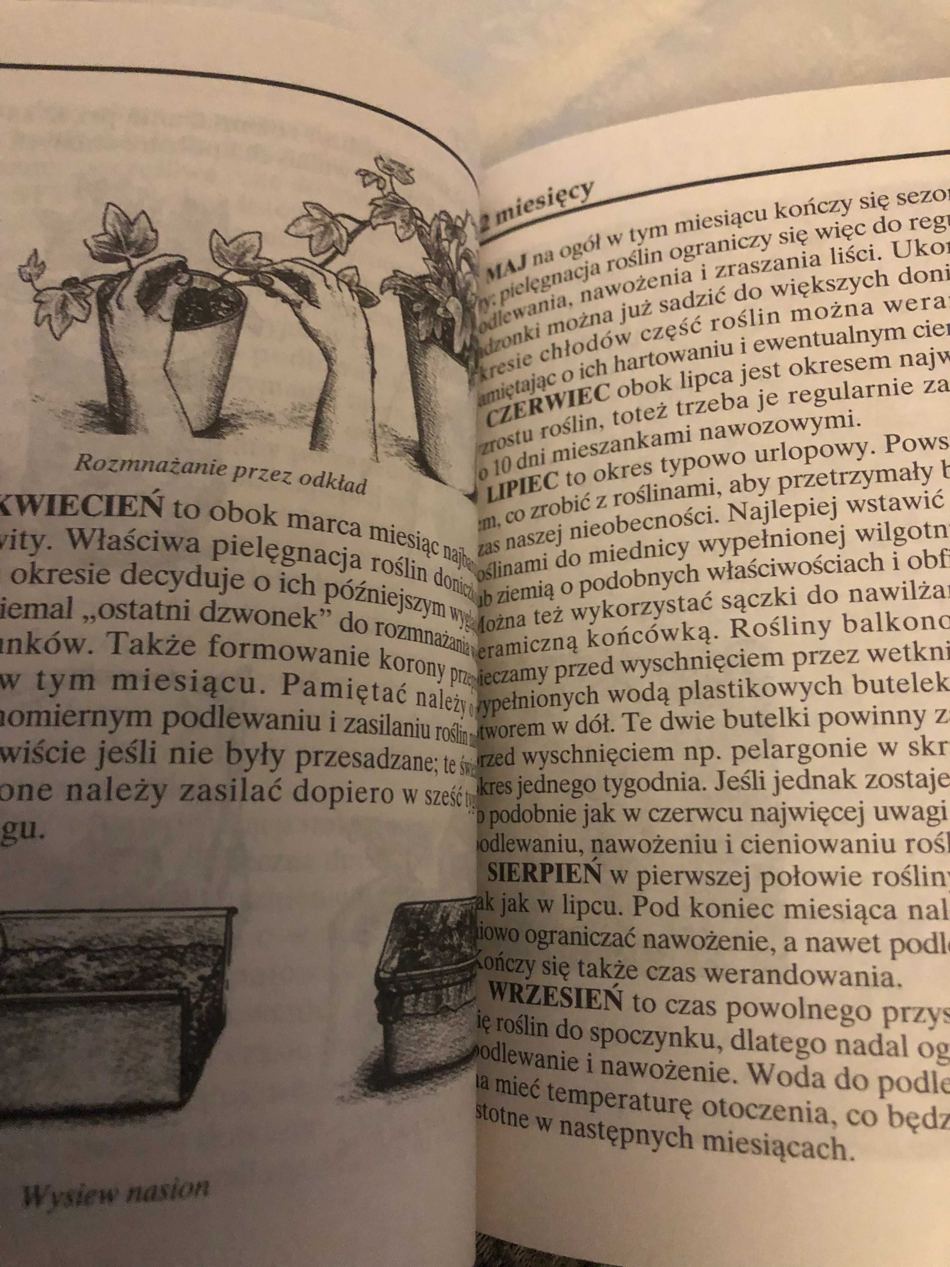 Encyklopedia praktycznej uprawy roślin domowych ,wyd.1993
