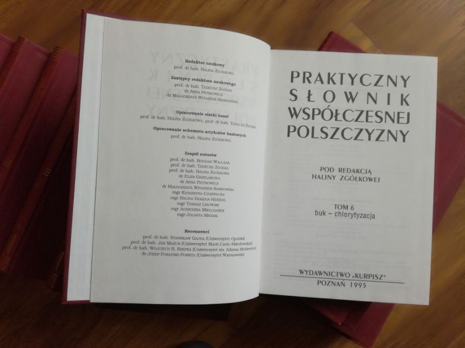 Praktyczny słownik współczesnej polszczyzny /t.2-15/
