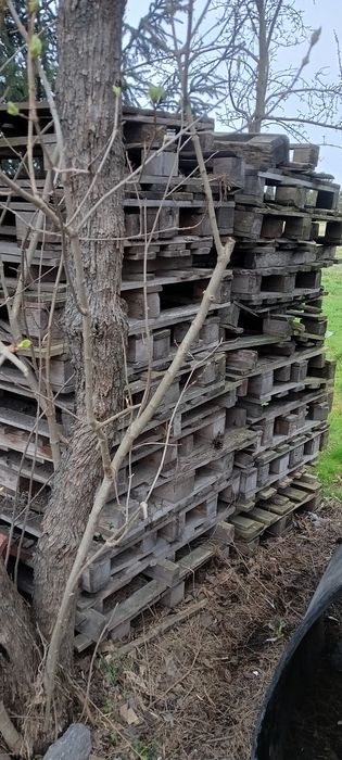 Palety różne rodzaje.