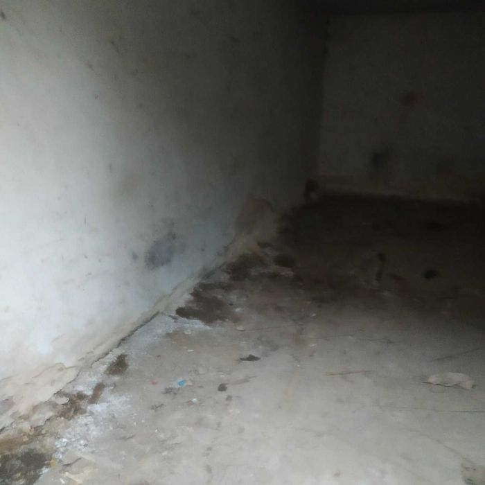 продаж гаража приватизованою земельною ділянкою