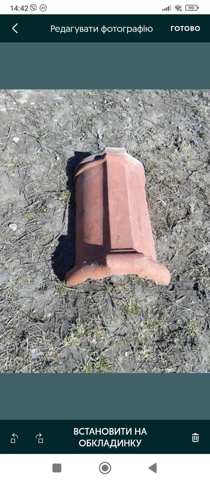 Продам гусаки на дах