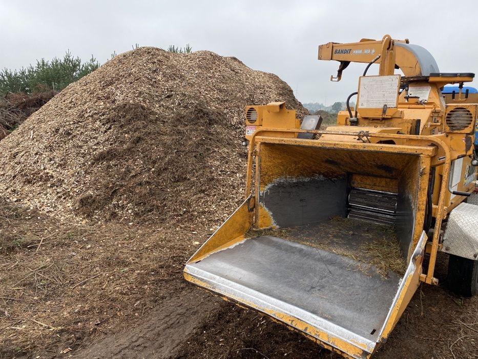 Ścinka drzew / wycinka drzew / wycięcie drzewa / Rębak do gałęzi