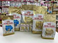 Royal Canin Chihuahua Adult|Puppy