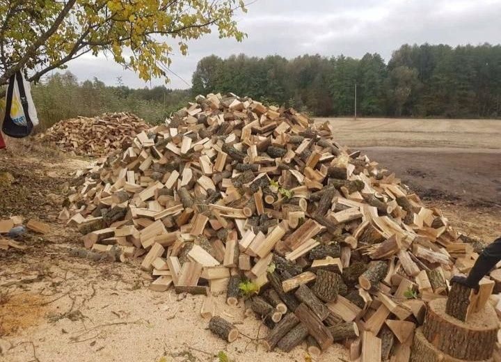 Дрова  ДУБ,БЕРЕЗА,ВІЛЬХА,СОСНА. Без передплат. 8/10/12/18 ск/м