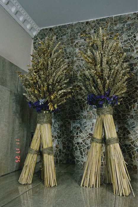 Ділухи різдвяні