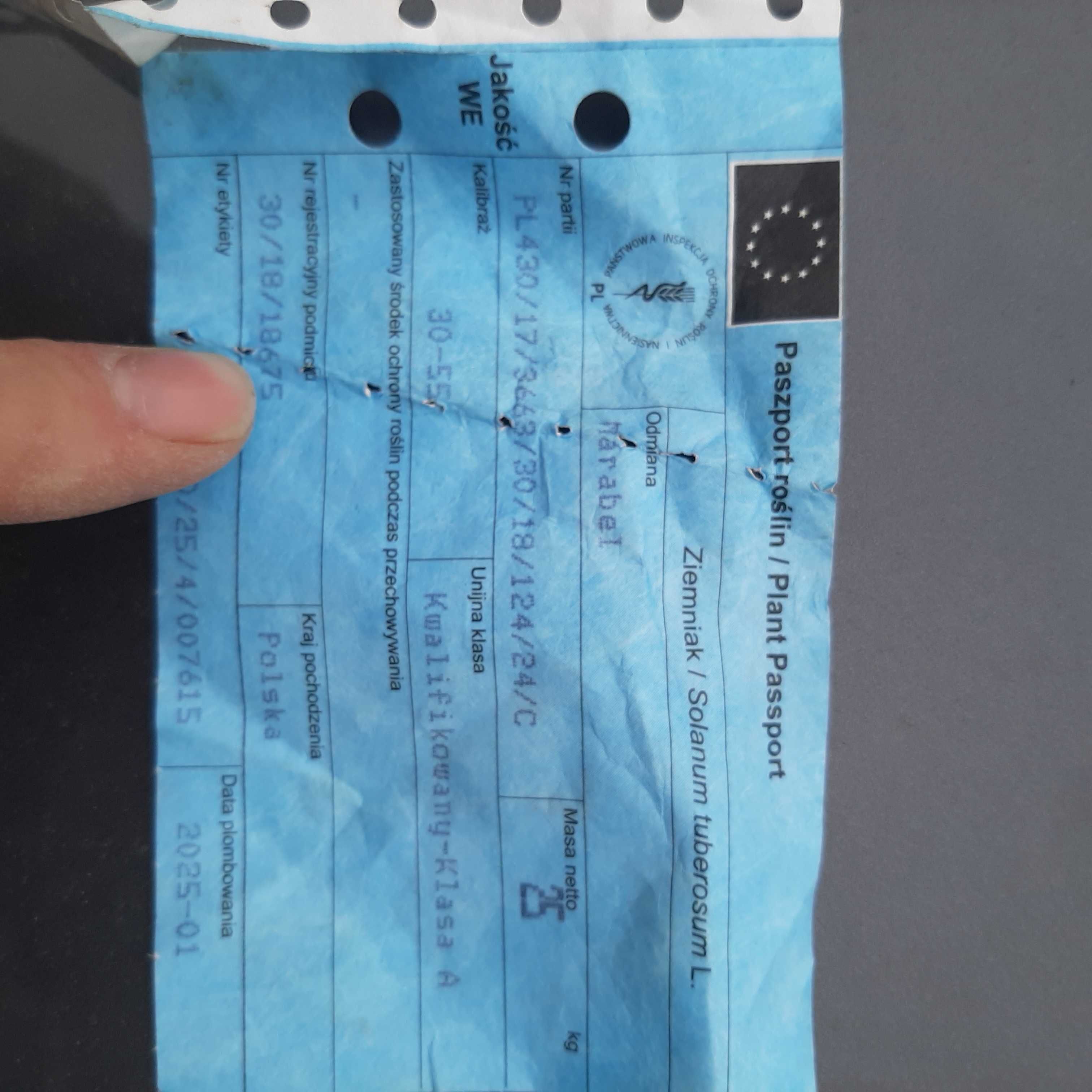 Ziemniaki młode kartofle