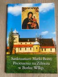 Sanktuarium Matki Bożej Pocieszenia na Zdzieżu w Borku Wlkp. książka