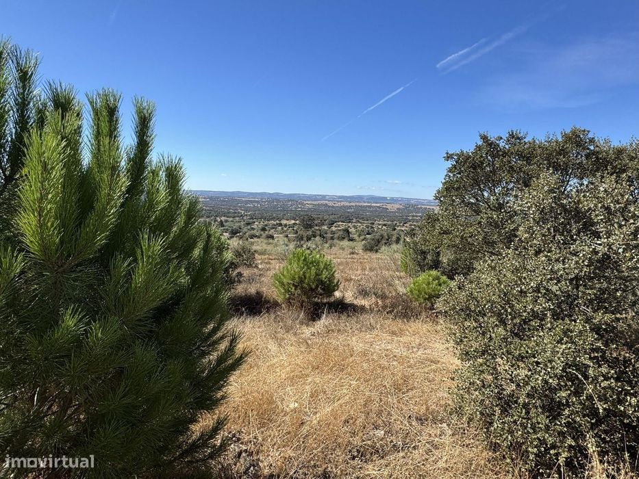 excelente  oportunidade Terreno Rustico