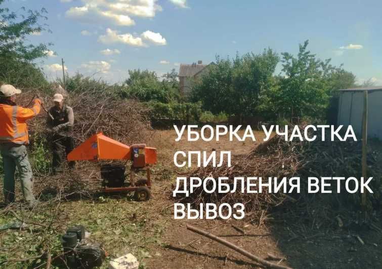 Прибирання територій Уборка УЧАСТКА  Розчищення  Спил дерева ДЕМОНТАЖ
