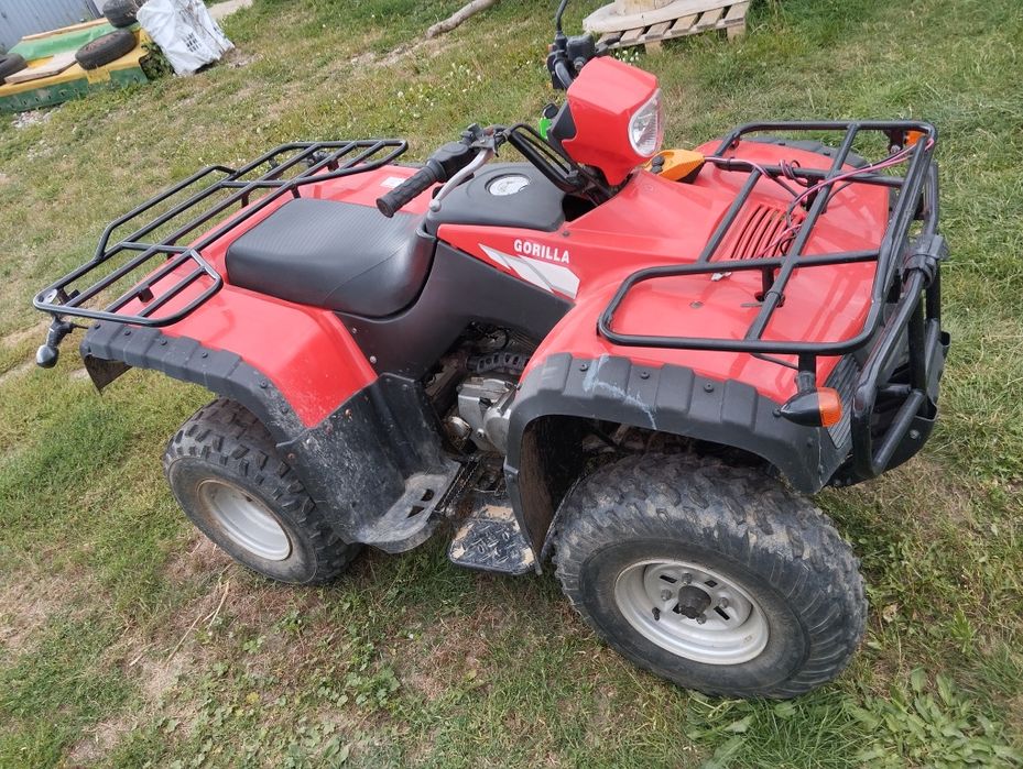 Quad 250/300 Hak Światła Bieg Wsteczny