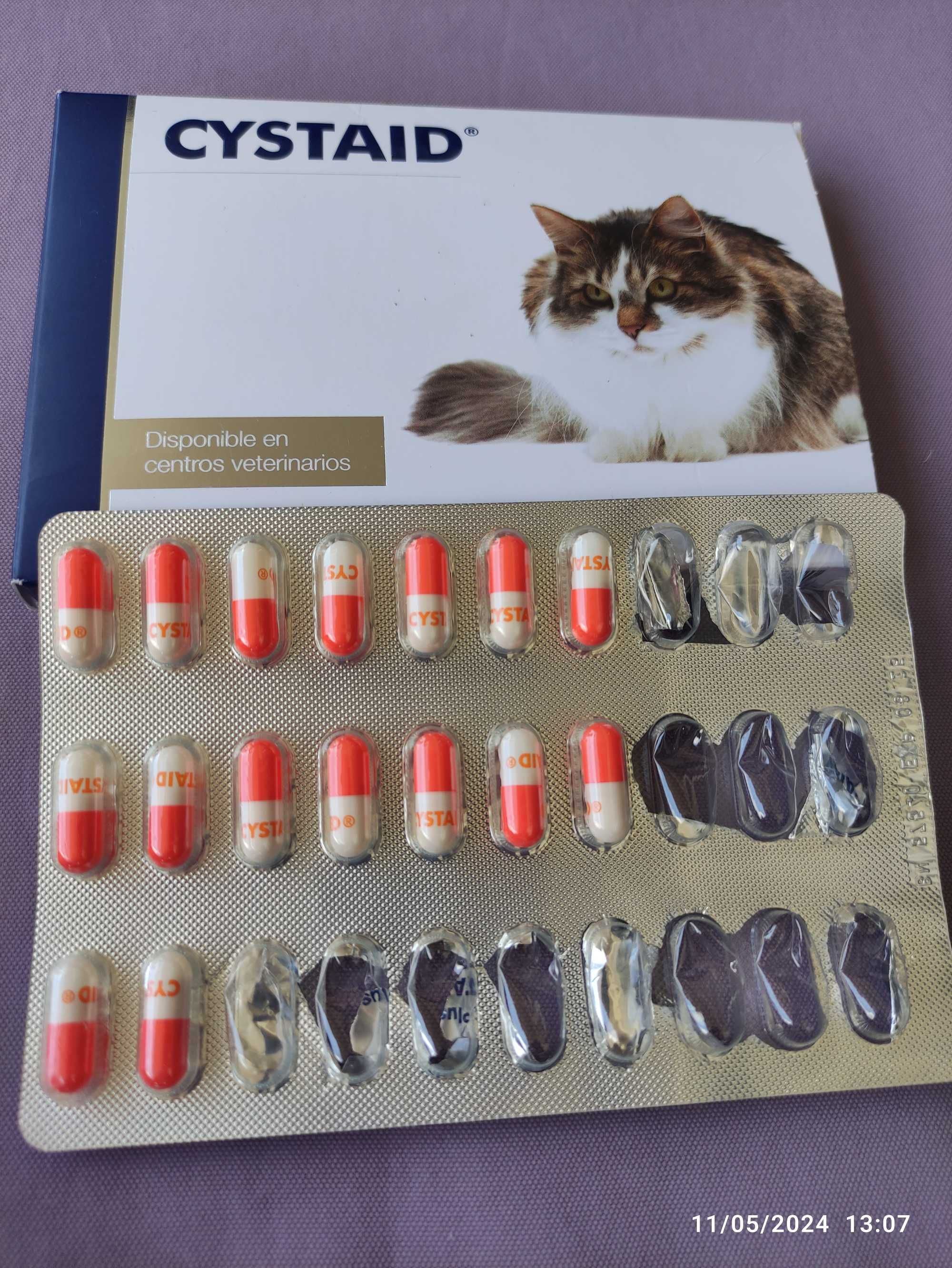Cystaid gatos 16 cápsulas