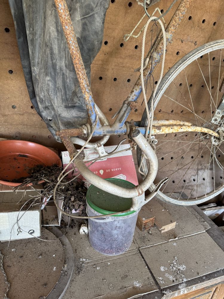 Bicicleta antiga
